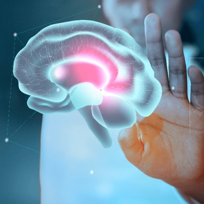 Компоненты экстракта цимицифуги кистевидной